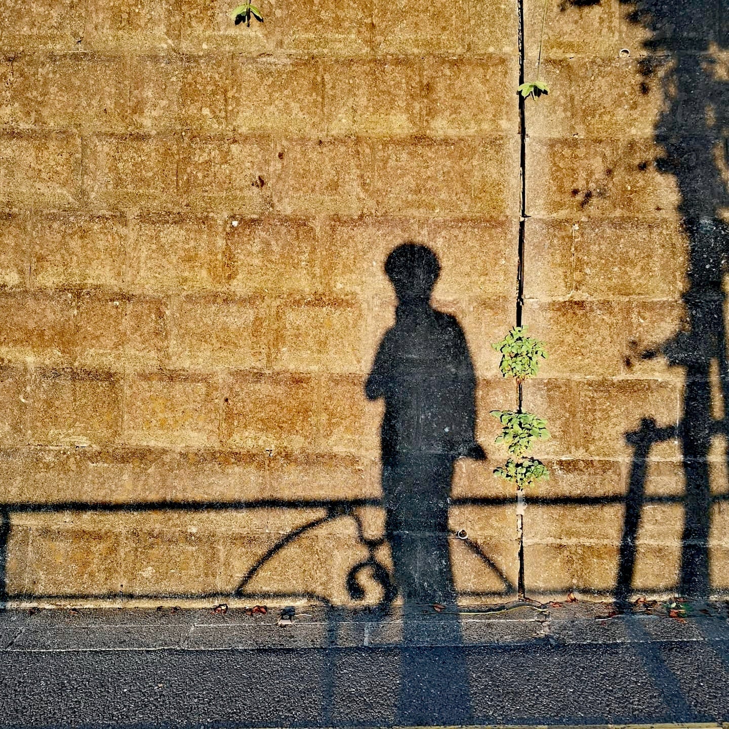 A.Nozzy