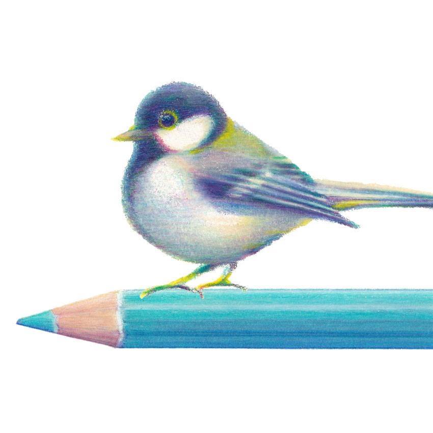 真々田 ことり